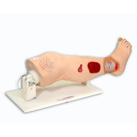 Load image into Gallery viewer, Vata Vinnie Venous Insufficiency Leg Model - American Hospital Supply
