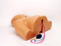 Load image into Gallery viewer, Blue Phantom Gen II Central Line Ultrasound Training Model, Hand Pump - American Hospital Supply
