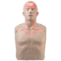 Load image into Gallery viewer, Brayden CPR Training Manikin - American Hospital Supply
