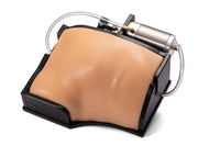 Load image into Gallery viewer, CAE Blue Phantom COVID-19 Lung Ultrasound Training Model - American Hospital Supply
