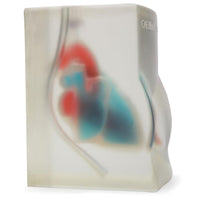 Load image into Gallery viewer, CAE Blue Phantom™ Heart Block Model - American Hospital Supply
