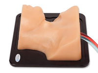 Load image into Gallery viewer, CAE Blue Phantom Internal Jugular Ultrasound Central Line Training Block - American Hospital Supply
