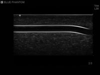 Load image into Gallery viewer, CAE Blue Phantom Pediatric 4-Vessel Training Model - American Hospital Supply
