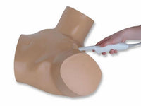 Load image into Gallery viewer, CAE Blue Phantom Pregnancy Transvaginal Ultrasound Training Model - American Hospital Supply

