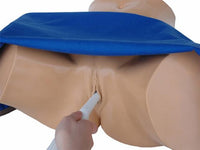 Load image into Gallery viewer, CAE Blue Phantom Pregnancy Transvaginal Ultrasound Training Model - American Hospital Supply
