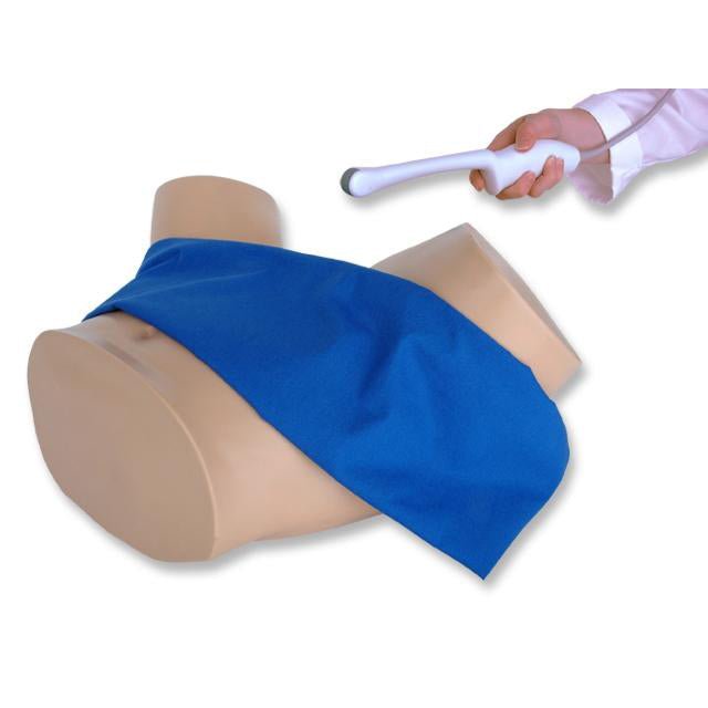 CAE Blue Phantom Pregnancy Transvaginal Ultrasound Training Model - American Hospital Supply