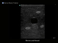 Load image into Gallery viewer, CAE Blue Phantom Regional Anesthesia Ultrasound Training Block - American Hospital Supply
