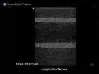 Load image into Gallery viewer, CAE Blue Phantom Regional Anesthesia Ultrasound Training Block - American Hospital Supply
