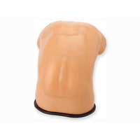 Load image into Gallery viewer, CAE Blue Phantom Upper Torso Ultrasound Training Model - American Hospital Supply
