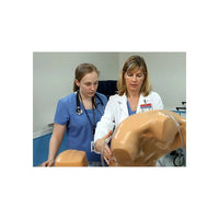 Load image into Gallery viewer, CAE Blue Phantom Upper Torso Ultrasound Training Model - American Hospital Supply
