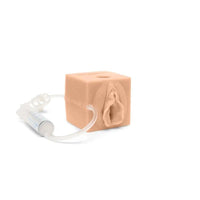 Load image into Gallery viewer, CAE Medicor MultiCUBE Trainer Model for Urinary Catheterization - Light - American Hospital Supply
