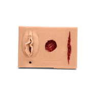 Load image into Gallery viewer, CAE Medicor MultiPad 2 Trainer Model with Urinary Catheterization &amp; Sinus Wound - American Hospital Supply
