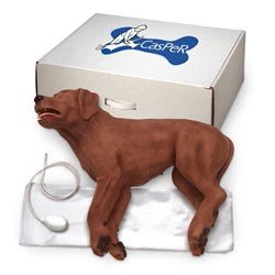 CasPeR The CPR Dog - American Hospital Supply