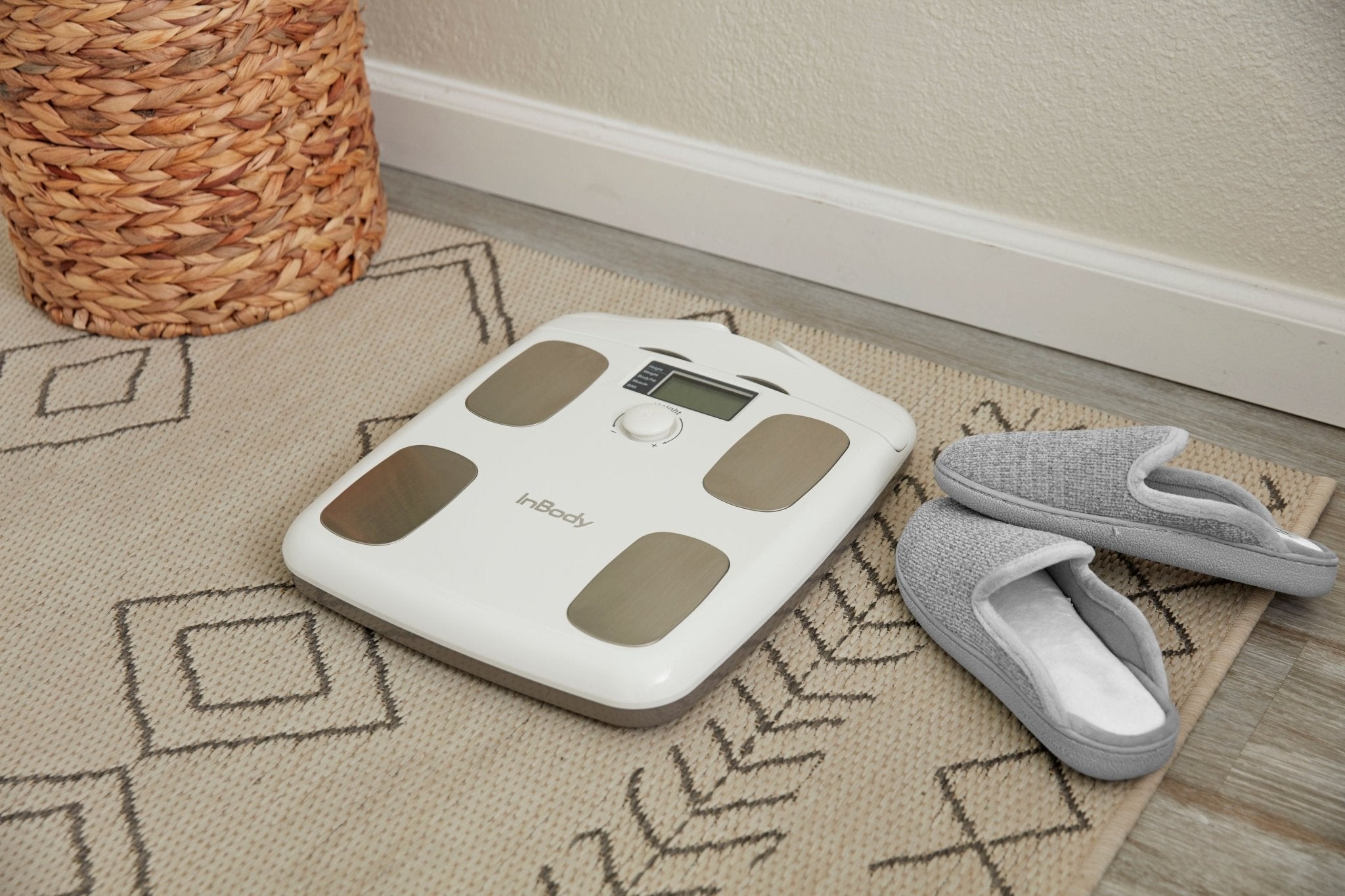 InBody H20B Smart Weight Analyzer | American Hospital Supply
