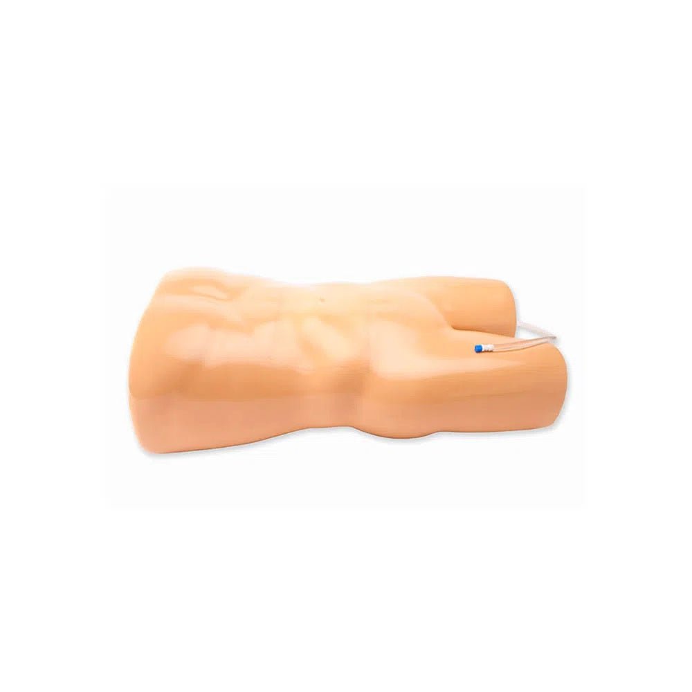 Paracentesis Ultrasound Training Model - American Hospital Supply