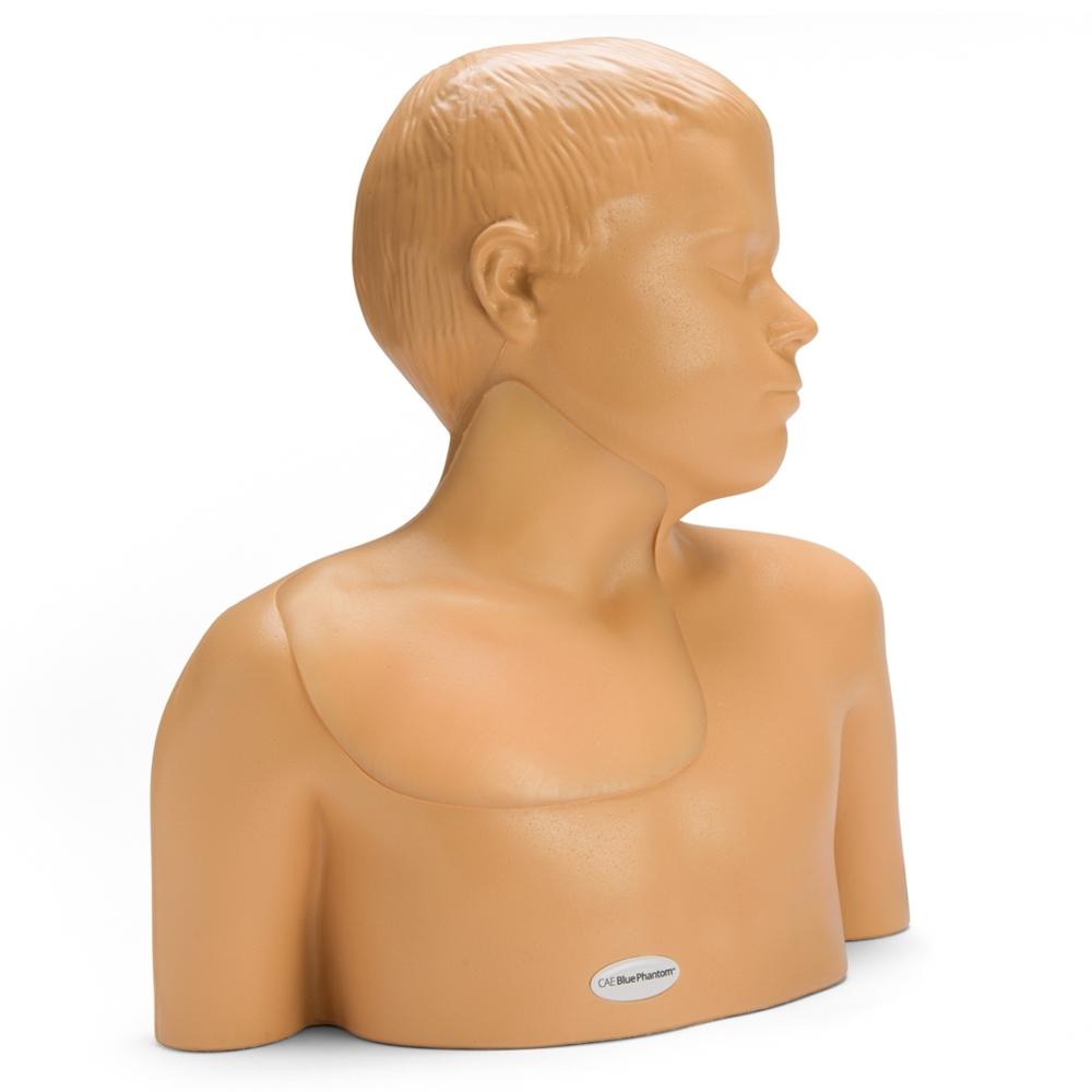 Pediatric Central Line and Regional Anesthesia Ultrasound Training Model, hand pump - American Hospital Supply