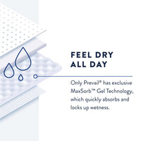 Load image into Gallery viewer, Prevail® Daily Pant Liners Moderate Absorbency Bladder Control Pad - American Hospital Supply
