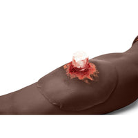 Load image into Gallery viewer, Sticky Wound Foreign Body: Bone - American Hospital Supply
