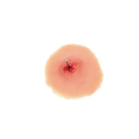 Load image into Gallery viewer, Sticky Wound Foreign Body: Nail - American Hospital Supply
