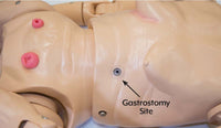 Load image into Gallery viewer, TERi™ Androgynous Geriatric Trainer - American Hospital Supply
